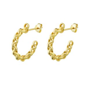 Brincos em prata com argolinhas